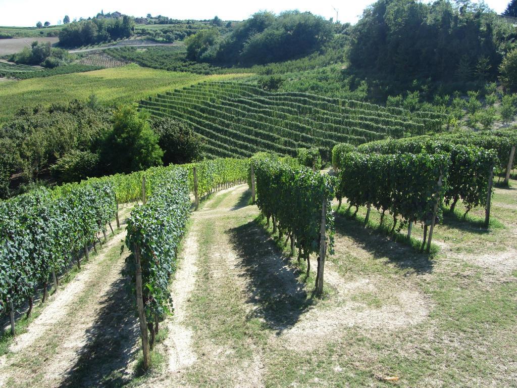 Costa Catterina B&B Castagnito Buitenkant foto